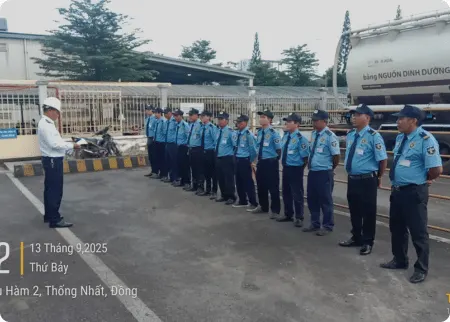 Nhận thông tin báo giá 24/7