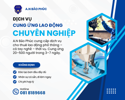 Dịch Vụ Cho Thuê Lao Động Chuyên Nghiệp
