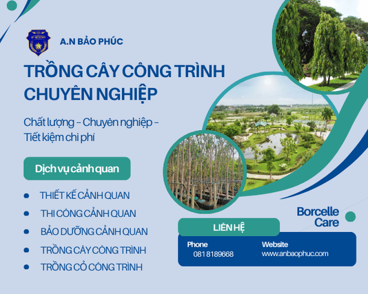 Trồng cây công trình chuyên nghiệp