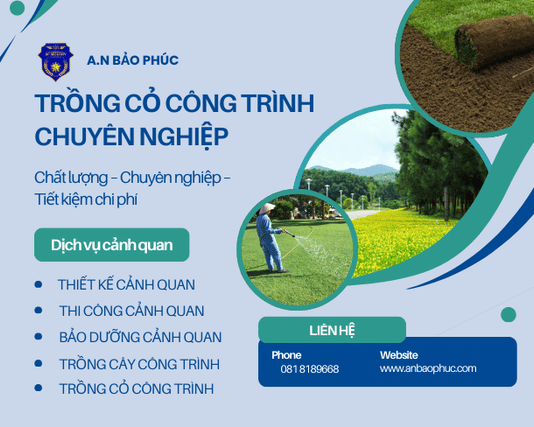 Dịch vụ Trồng cỏ công trình