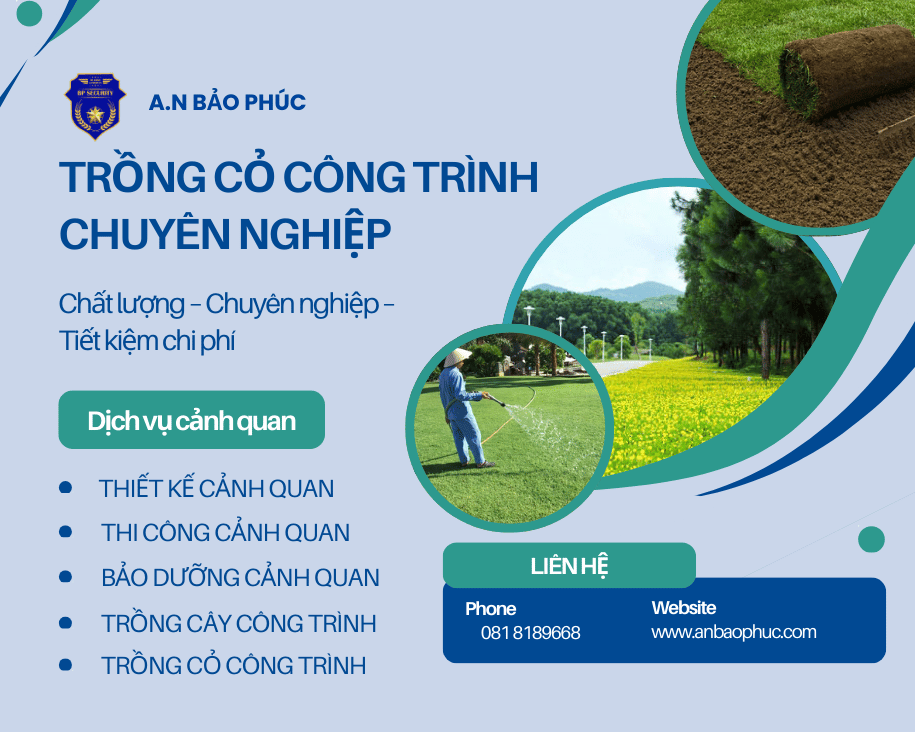 trong-cay-cong-trinh-chuyen-nghiep3